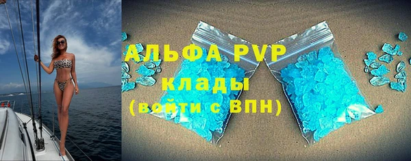 ГАЛЛЮЦИНОГЕННЫЕ ГРИБЫ Аркадак