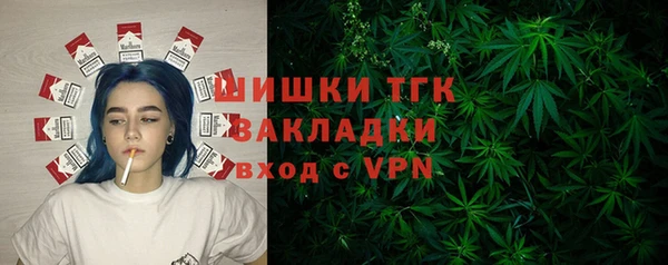 ГАЛЛЮЦИНОГЕННЫЕ ГРИБЫ Аркадак