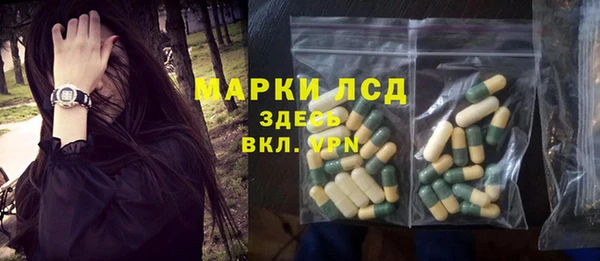ГАЛЛЮЦИНОГЕННЫЕ ГРИБЫ Аркадак