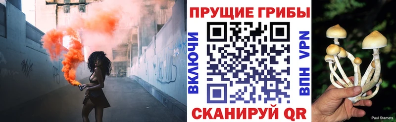 Галлюциногенные грибы MAGIC MUSHROOMS  Асбест 